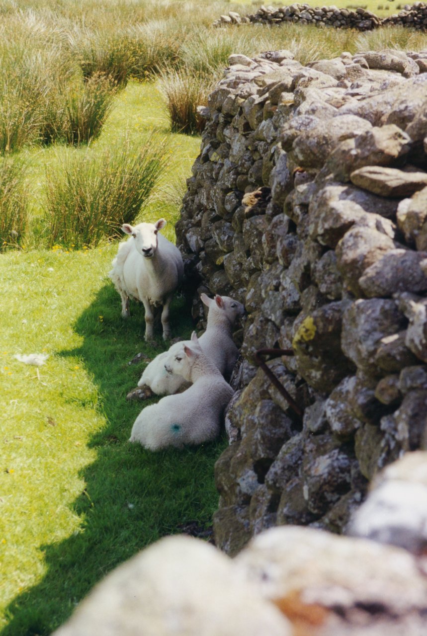 AandM in Lake District July 1999 4